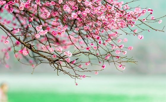 (示意图:互联网)
