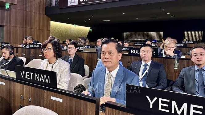 越南外交部副部长、联合国教科文组织国家委员会主任何金玉。(图:越通社)