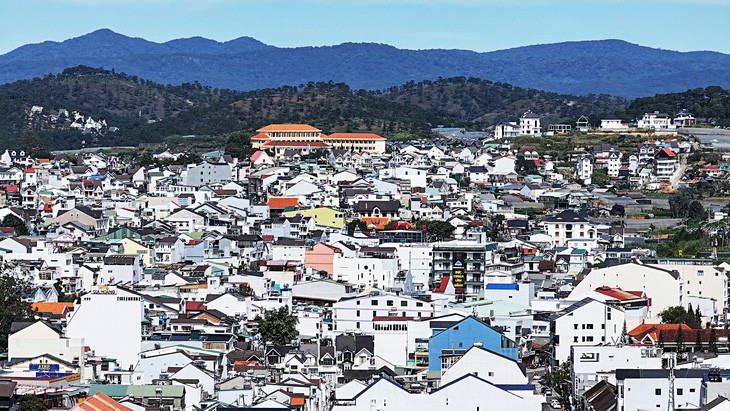 大勒市内严重缺乏绿色空间。