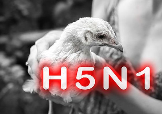 （示意图：互联网）