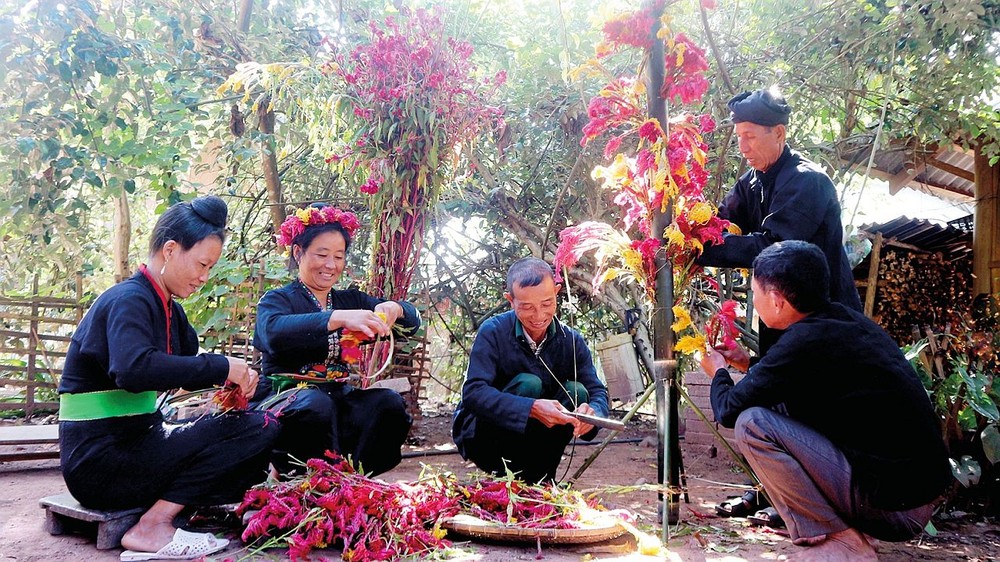  村民准备鸡冠花来装横房子，迎接节日。