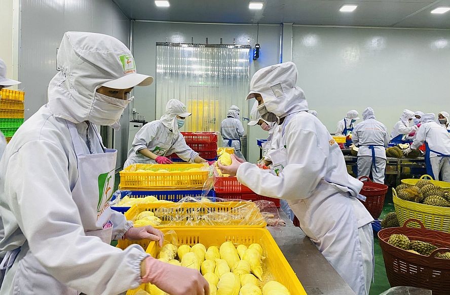 冷冻榴莲包装。（图：贵玉）