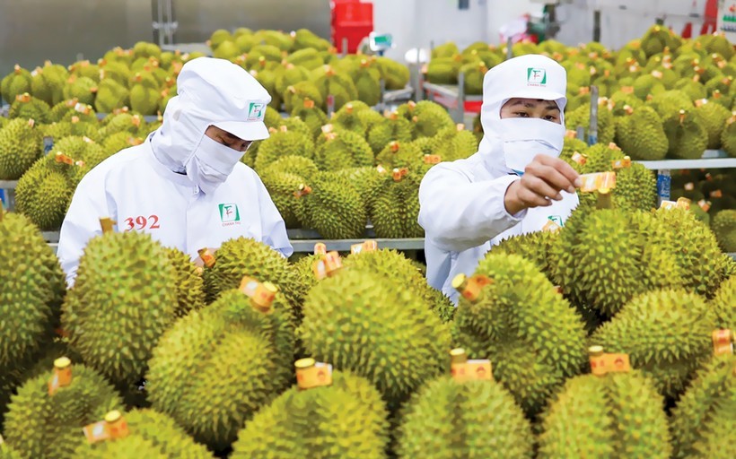榴梿出口额达20亿7000万美元。