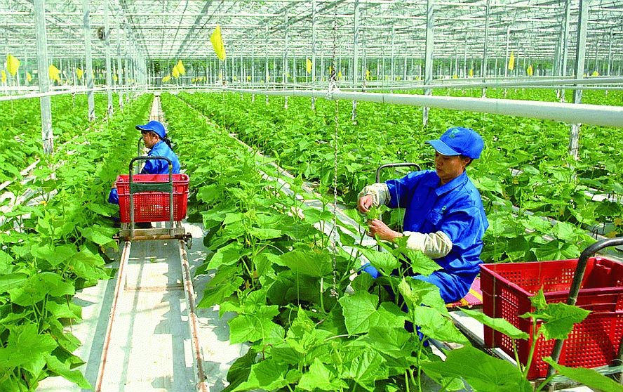 力争至2030年成为全球农业深加工中心