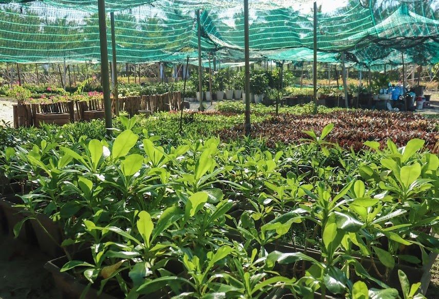 可持续发展无烟工业