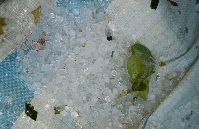 莱州省出现冰雹