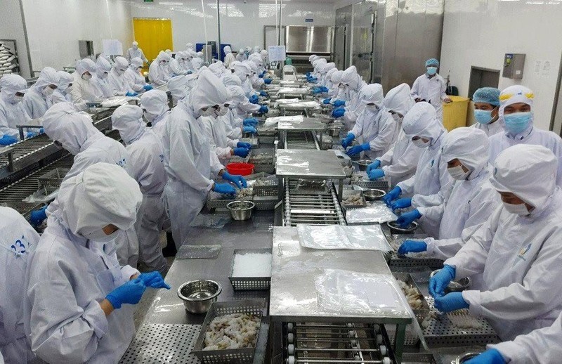 图为薄寮省泰明龙水产有限公司生产车间出口虾加工场景。(图:阮游)