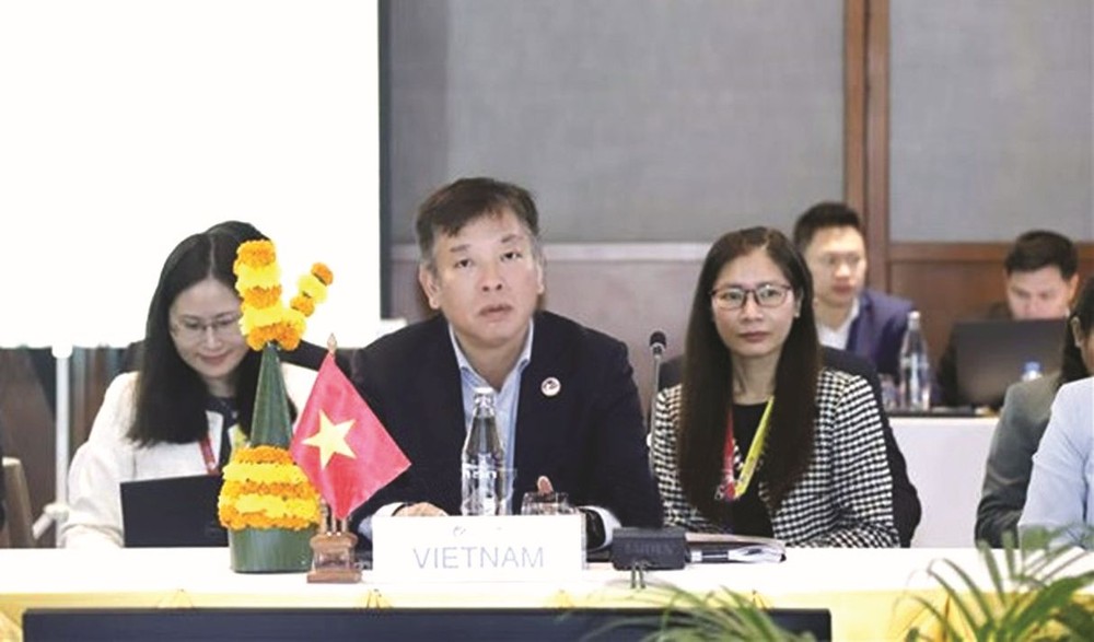 东盟高官会越南代表团代团长武胡大使。(图:越通社)