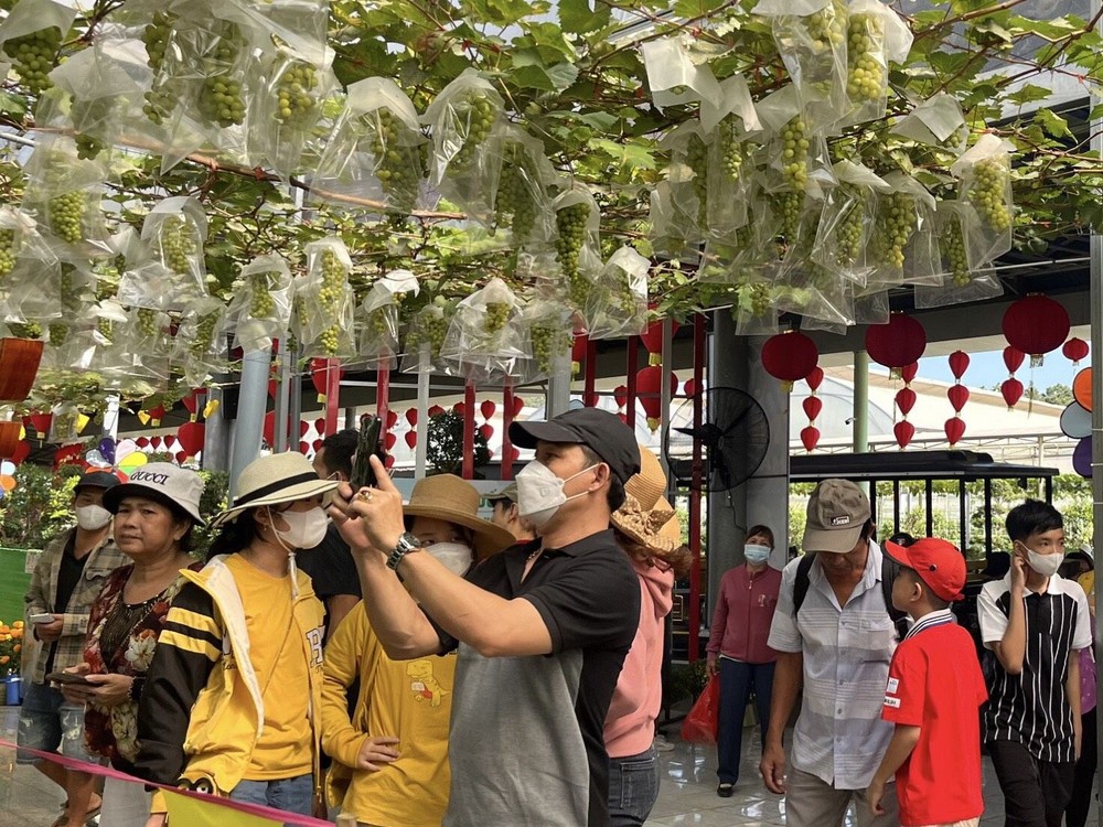 众多遊客参观牡丹葡萄(麝香葡萄)农场。 suoi-tien2-6930.jpg