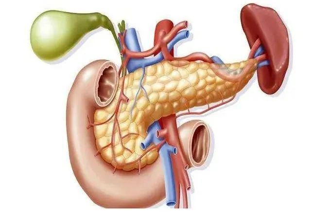 喝多吃撑谨防急性胰腺炎