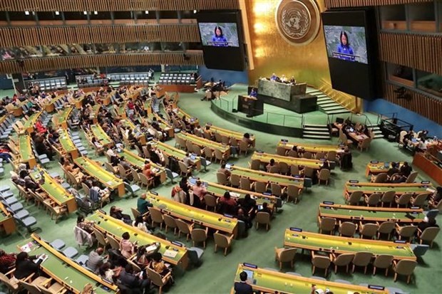 越南国家副主席武氏映春在联合国经济及社会理事会妇女地位委员会第68届会议上发表讲话。(图:越通社)