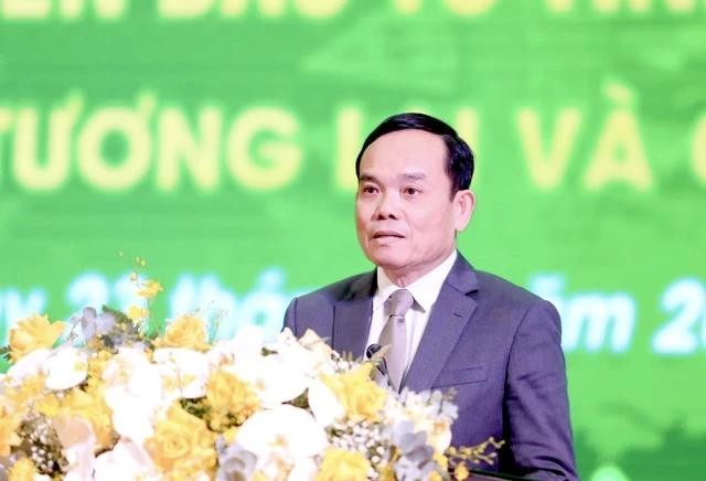 陈留光副总理发表指导会议。(图:越通社)
