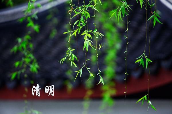 (示意图:互联网)