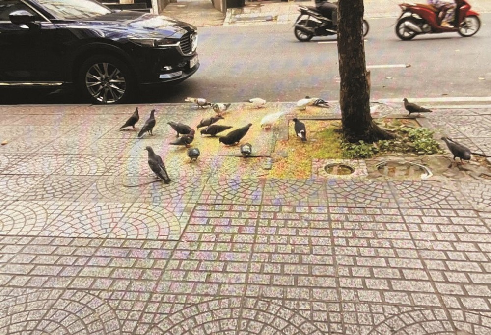 (示意图:互联网)