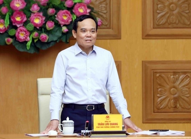 政府副总理陈留光。(图:VOV)