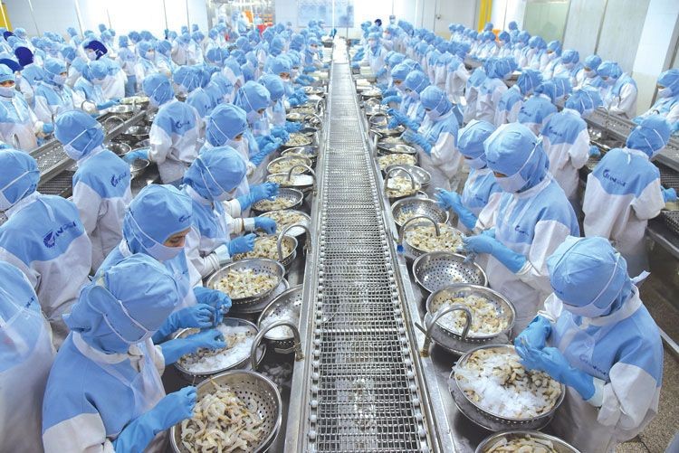 VASEP建议银行把目前出口企业的美元贷款年息从5%调降至4%以下。(图:互联网)