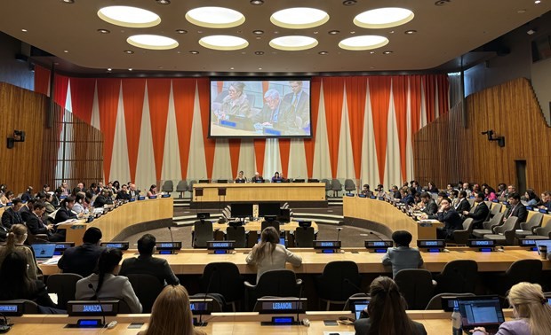 联合国经济与社会理事会会议场景。(图:越通社)