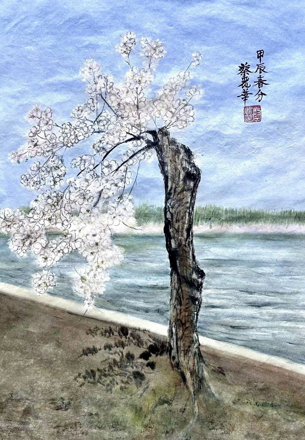 蔡丽华 画