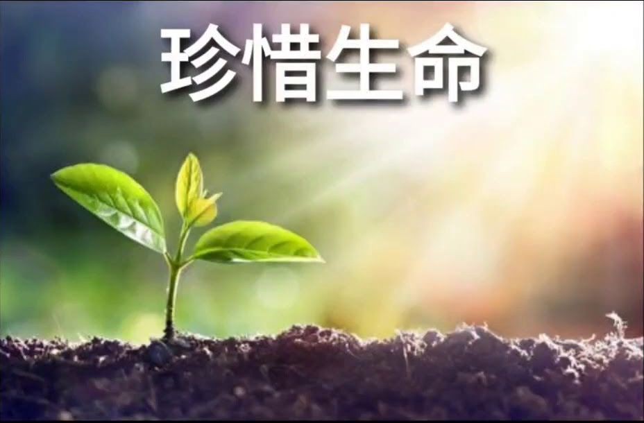(示意图:互联网)