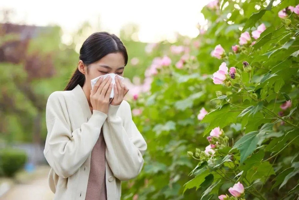 如何应对过敏性鼻炎?