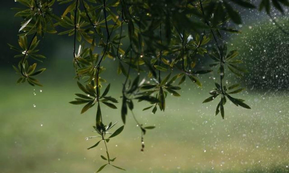 （示意图：互联网）