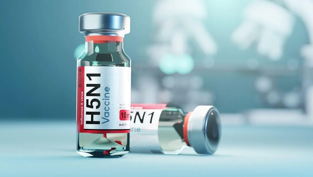 禽流感疫苗。（示意图：Getty Images）