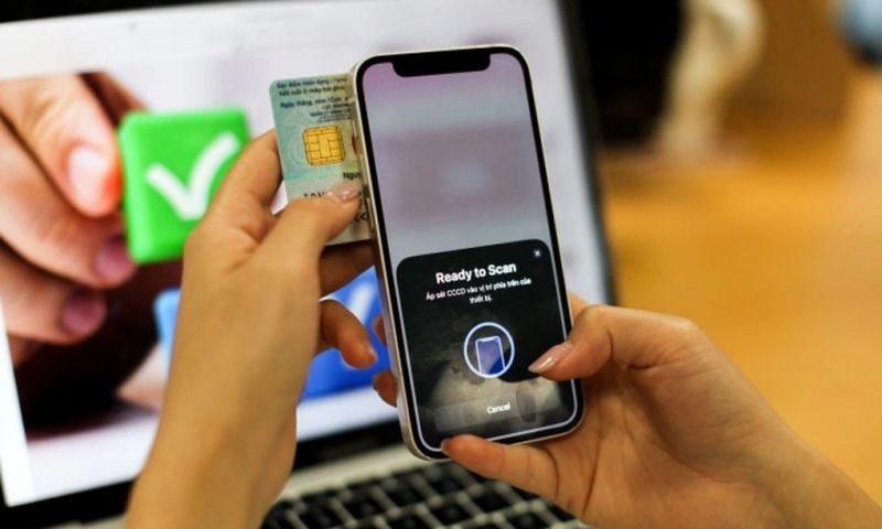 （示意图：姜芽）