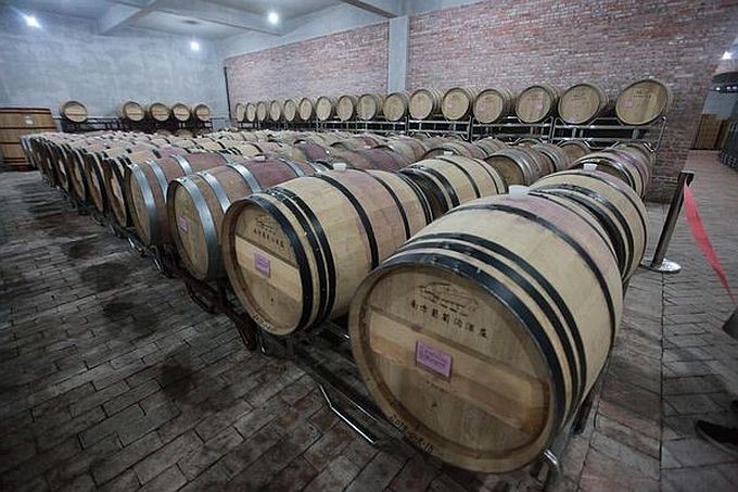 南方葡萄沟酒庄用刺葡萄酿制的红酒 n3.jpg