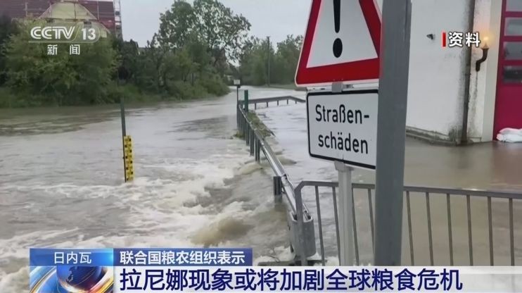 (图:CCTV视频截图)