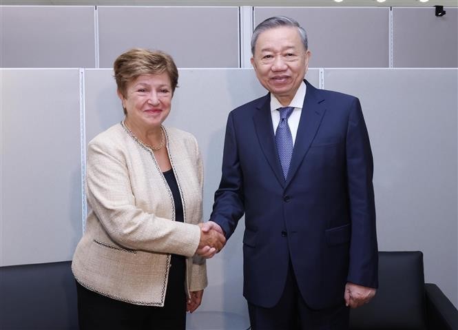 党中央总书记、国家主席苏林会见国际货币基金组织总裁克里斯塔利娜·格奥尔基耶娃。(图:越通社)