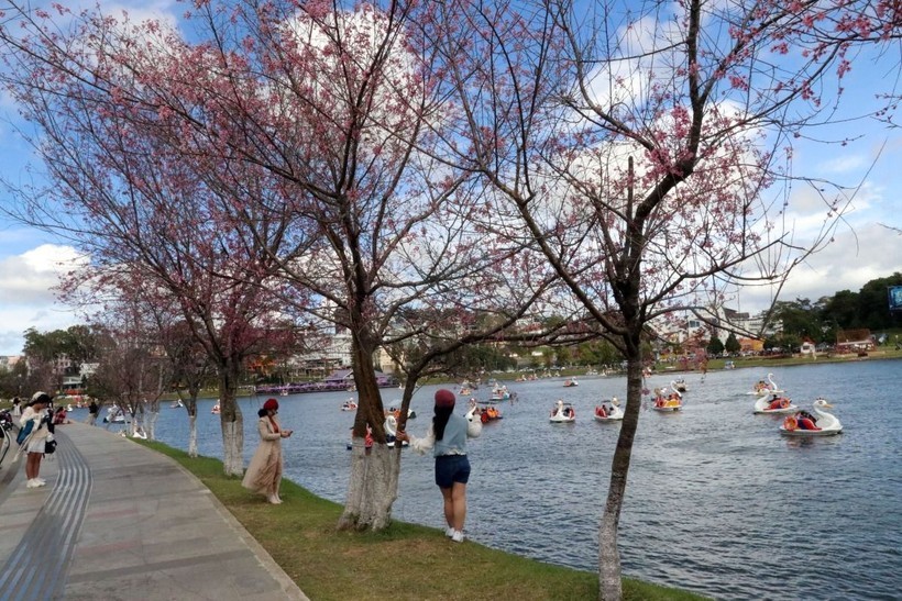 游客观光大勒市春香湖景点。（图：越通社）