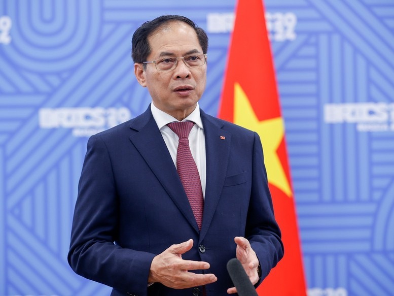 政府副总理兼外交部长裴青山。(图:政府门户网)