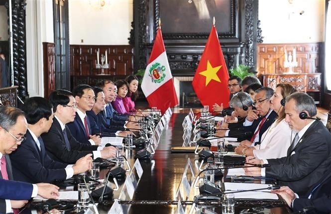 国家主席梁强与秘鲁总统迪娜·埃尔西利娅·博鲁阿尔特·塞加拉举行会谈。(图:越通社)