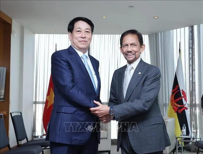 国家主席梁强(左)会见文莱苏丹哈桑纳尔·博尔基亚。(图:越通社)