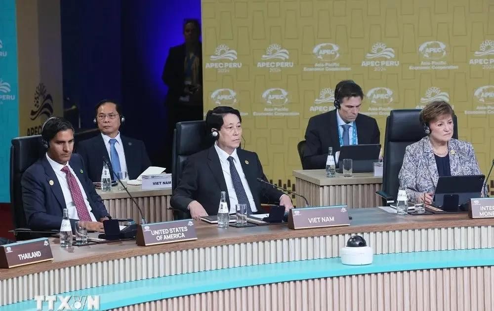 国家主席梁强出席并在亚太经合组织第三十一次领导人会议。(图:越通社)
