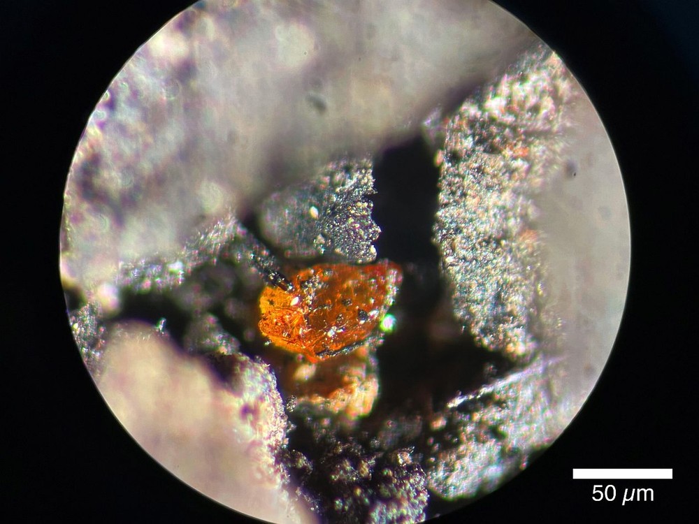 从MeBo岩芯PS104_20-2 9R沉积物中的褐煤中提取的约70微米琥珀的宏观照片。 (图:阿尔弗雷德-魏格纳研究所)