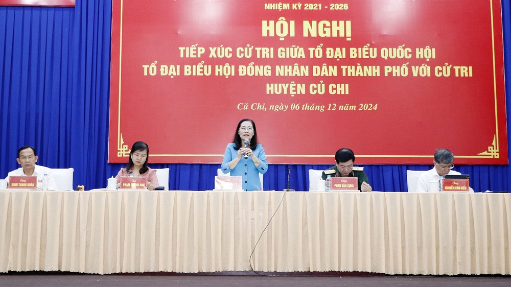 市人民议会主席阮氏丽(中)在接触会上回答选民的提问。