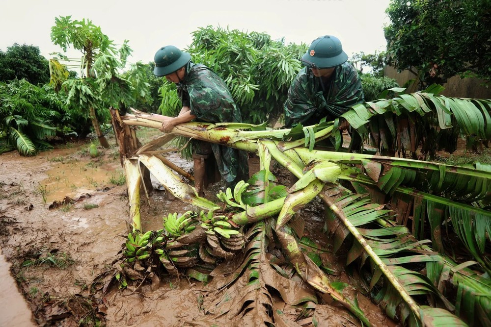 部队向教育和医疗卫生服务不足地区的人民群众提供帮助。（图：越通社）