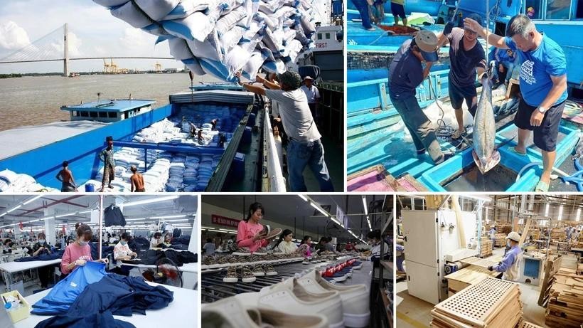 越南政府总理签发关于促进2025年经济增长的通知。(图:越通社)