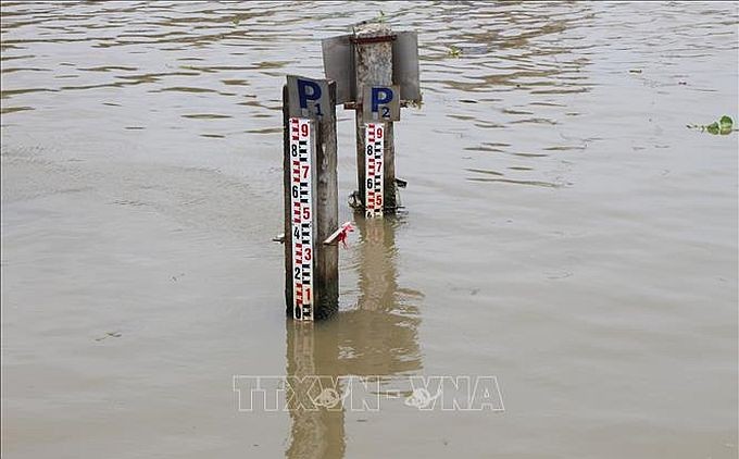 图为在芹苴市未青水文站测量河流水位。（图：越通社）