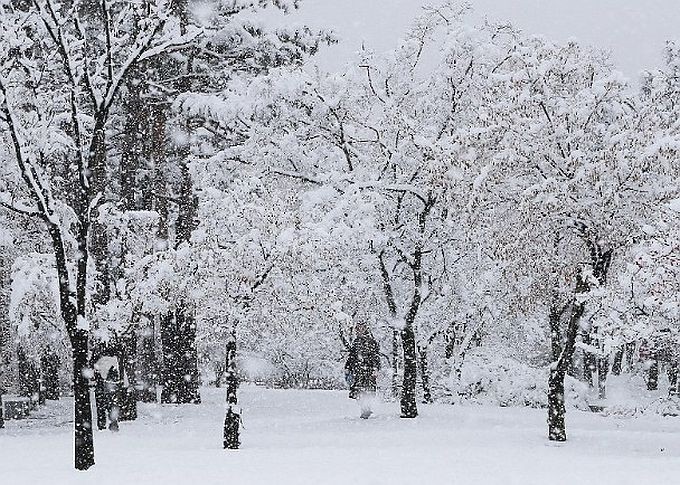 韩首都圈和江原普降大雪