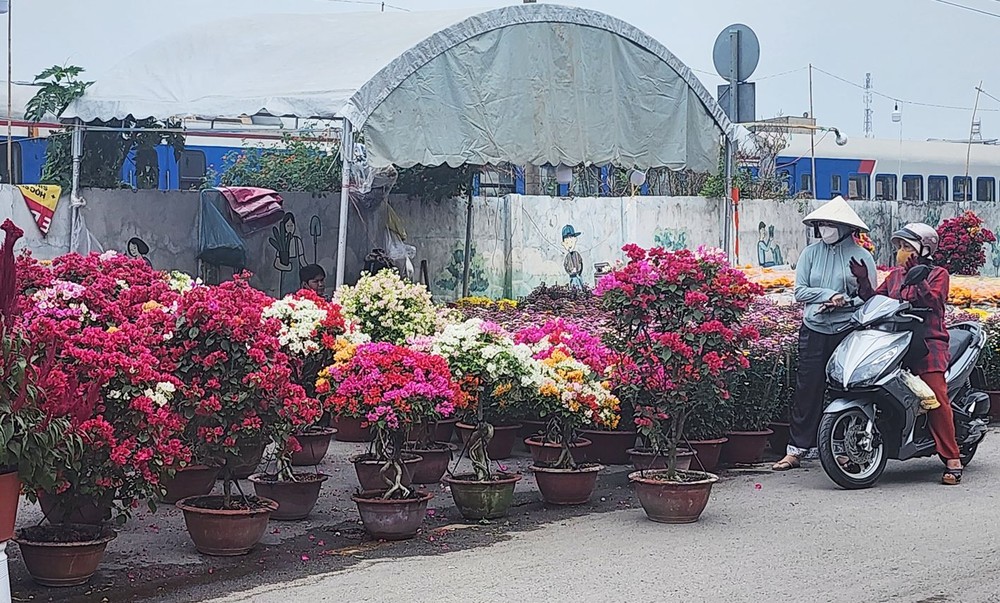 春节花卉市场活跃