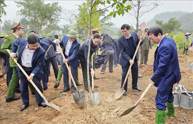 富寿省领导在雄王庙历史遗迹区参加春节植树。(图:越通社)