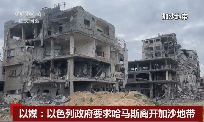 (图:CCTV 视频截图)