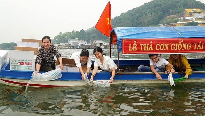 放养虾蟹苗活动旨在保护与发展水海产资源、保护自然生态环境。(图:庆垂) THA-TOM-CUA-GIONG.jpg