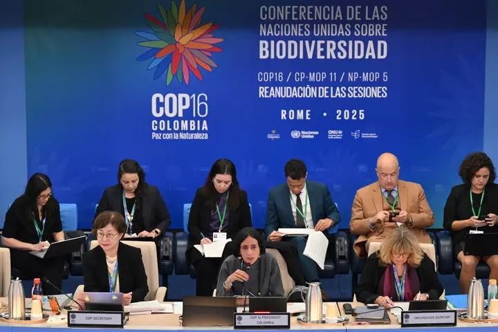 COP16 主席兼哥伦比亚环境部长 Susana Muhamad 于2月25日在罗马启动谈判。（图：AFP） 