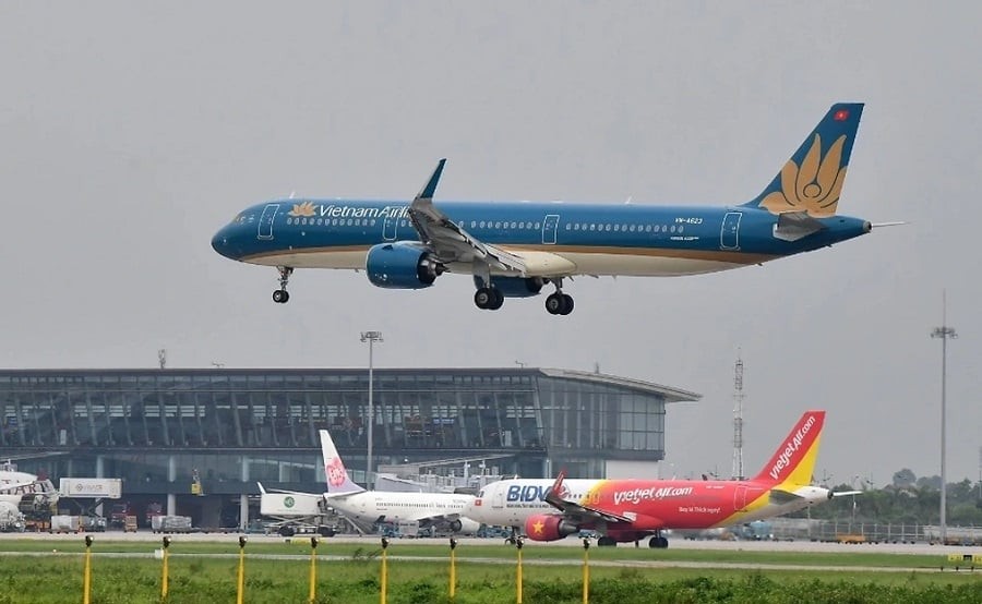 （示意图：Collected）