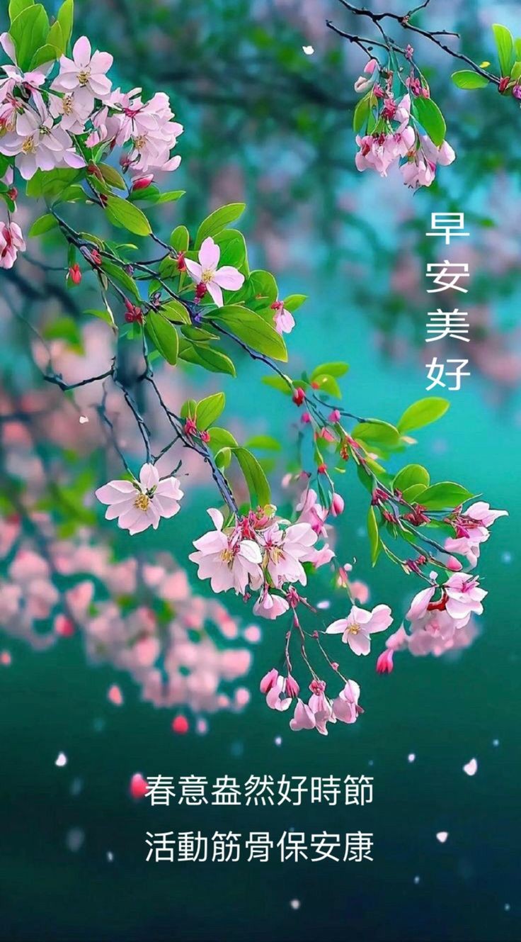 早安问候图的“好”与“坏”