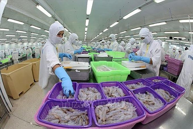 滀臻省Sao Ta食品股份公司虾类产品加工出口。(图:越通社)