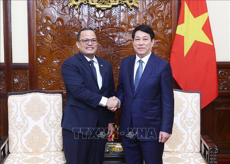 国家主席梁强(右)与多明尼加共和国驻越南特命全权大使海梅‧弗朗西斯科‧罗德里格斯大使。(图:越通社)